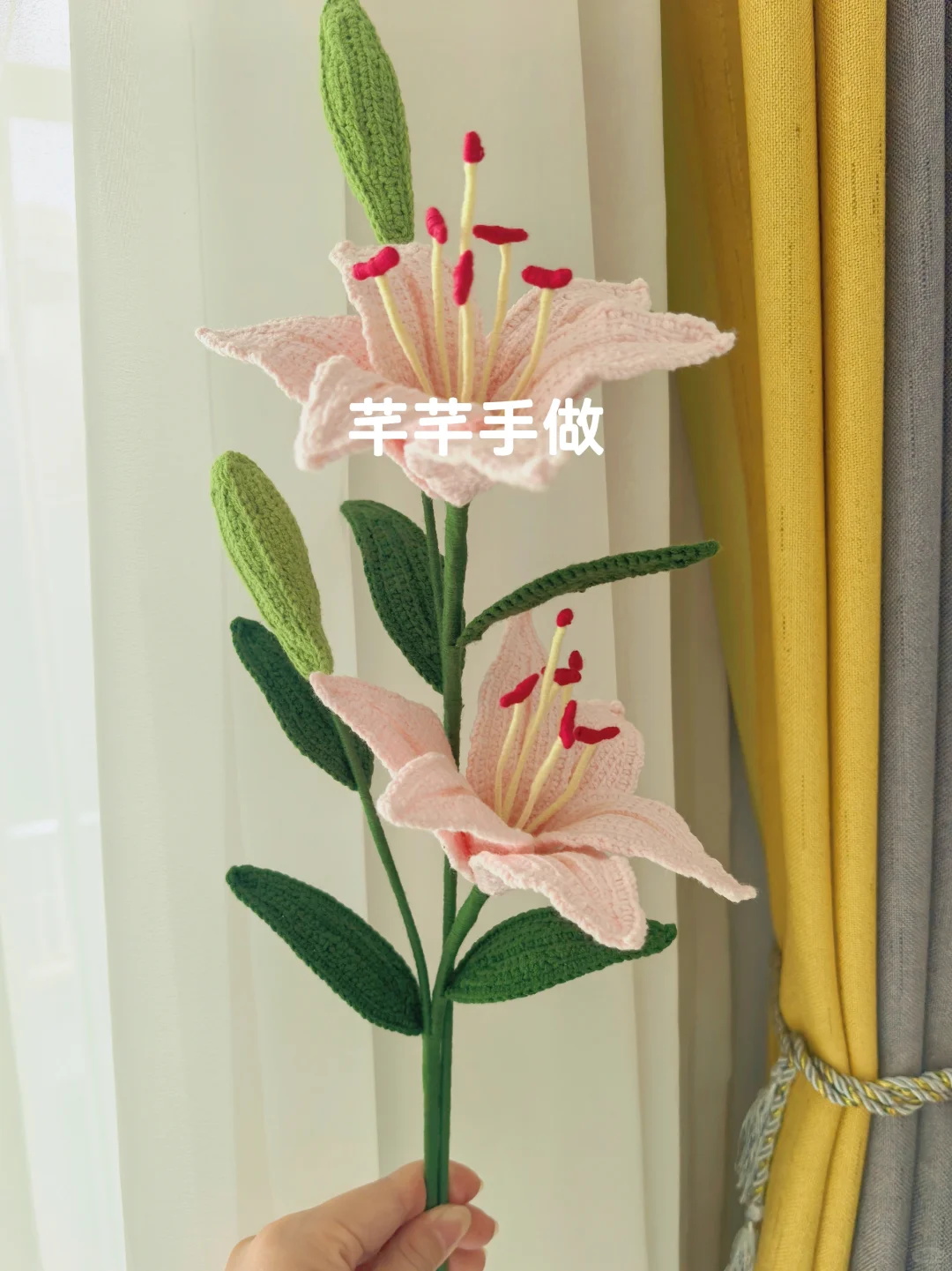 百合花，萌四线才?