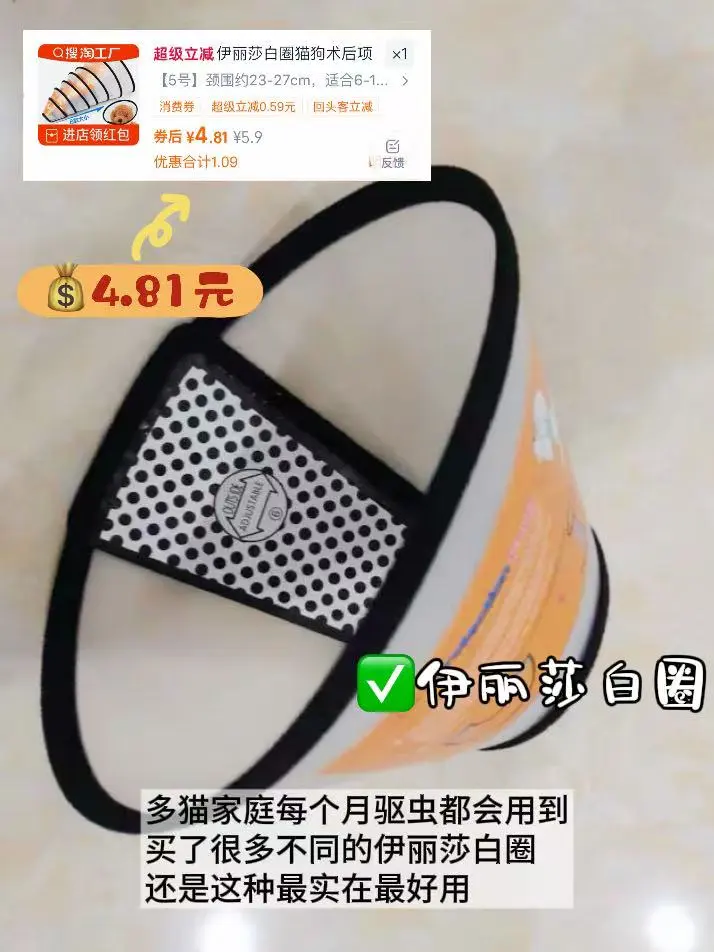 养猫好物|谁说低成本养不好猫的?