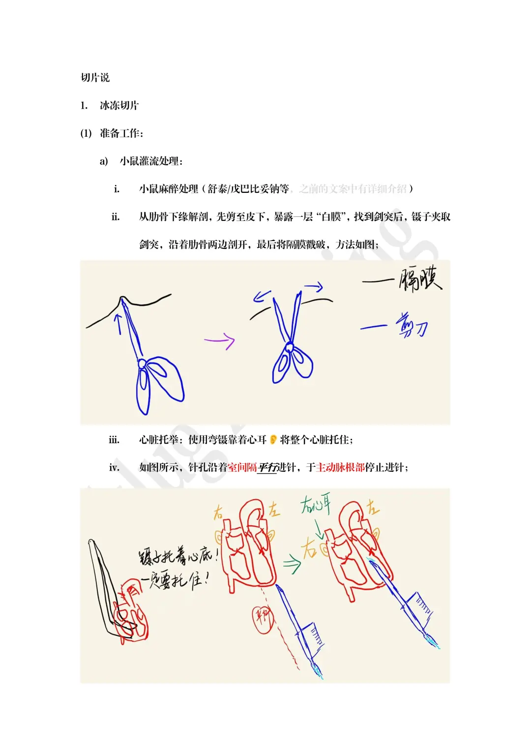 切脑子的说-切脑片protocol