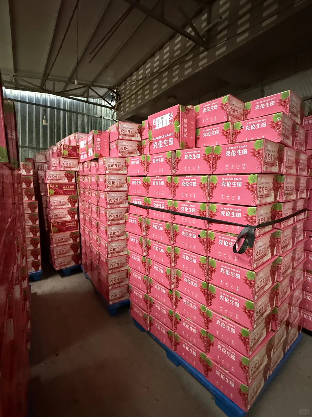 对不起了同行的朋友我家种的太多了