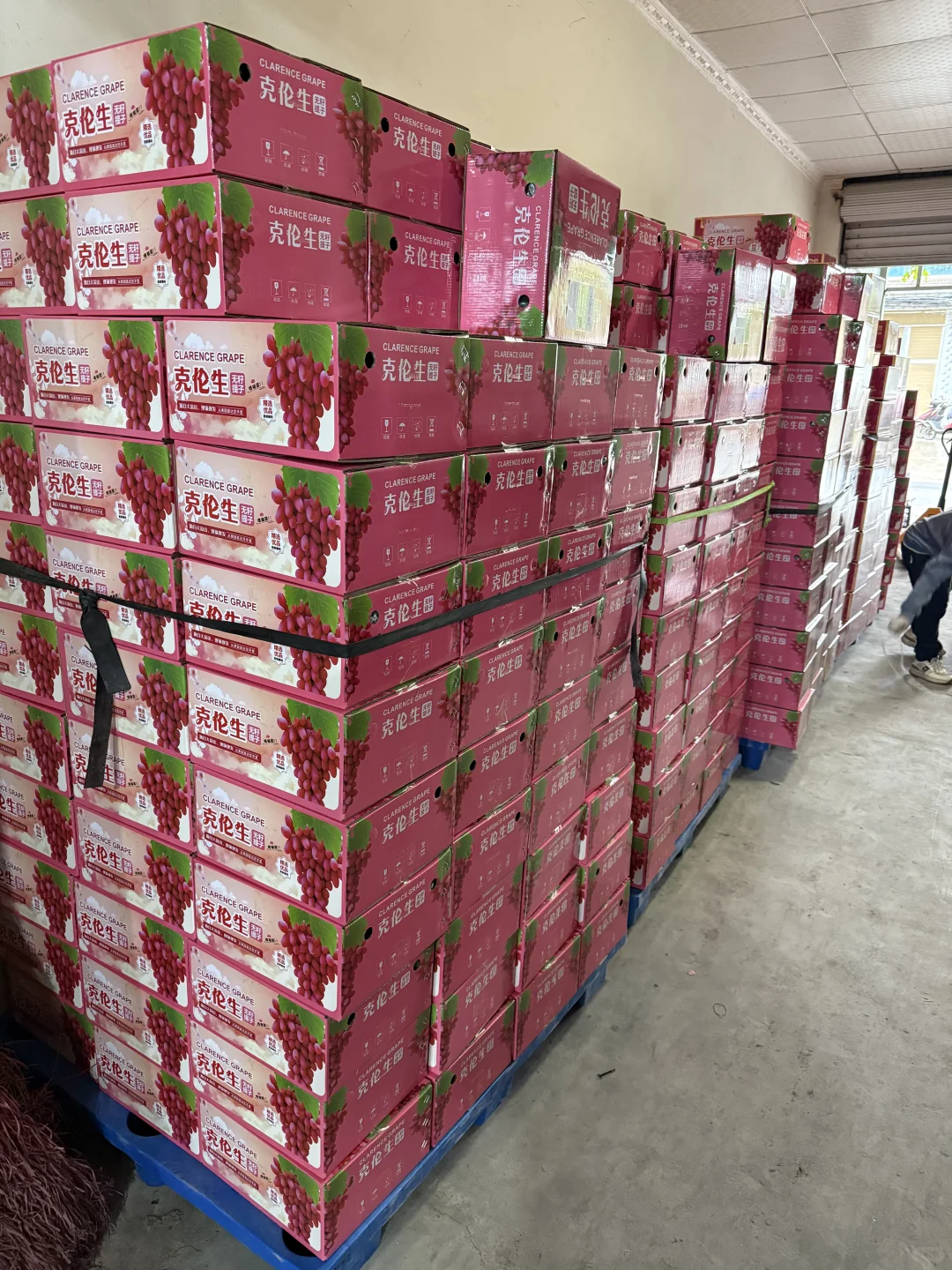 对不起了同行的朋友我家种的太多了