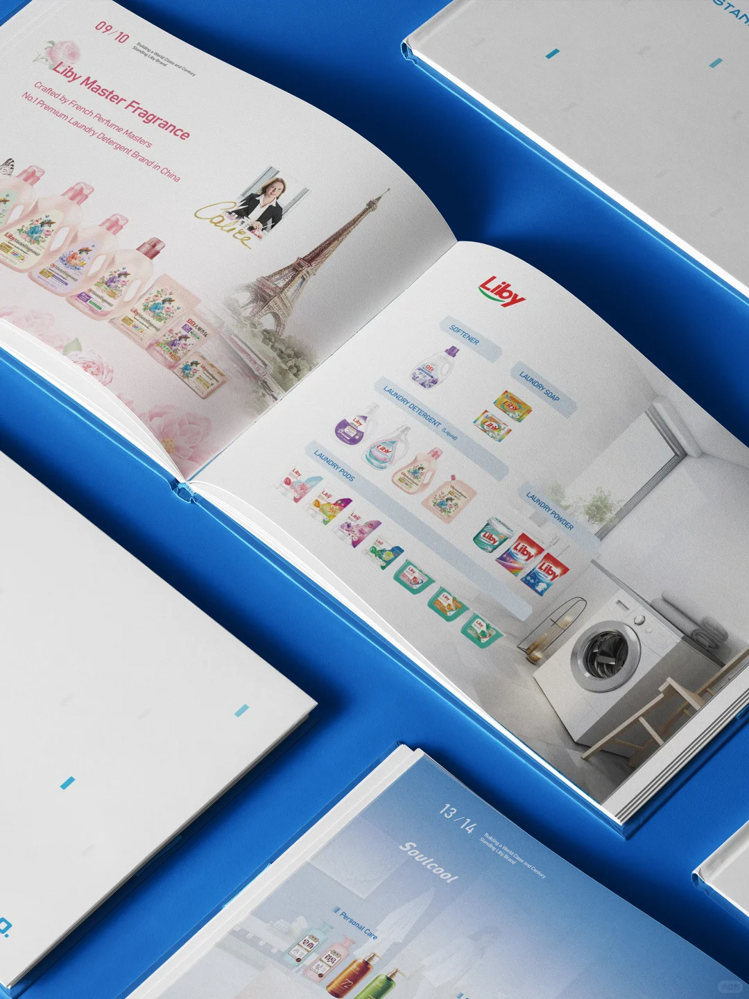 立白进军海外市场画册设计,设计与国际接轨