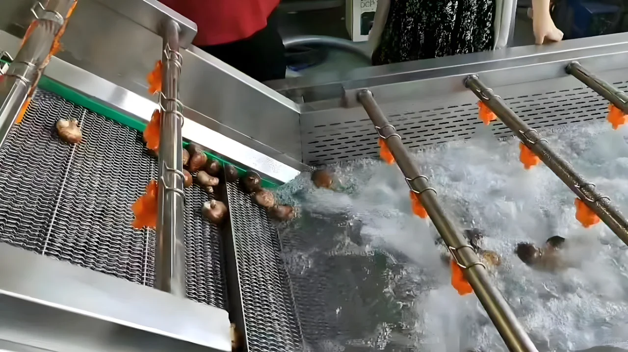 香菇加工设备，为乡村振兴注入 “鲜” 活力