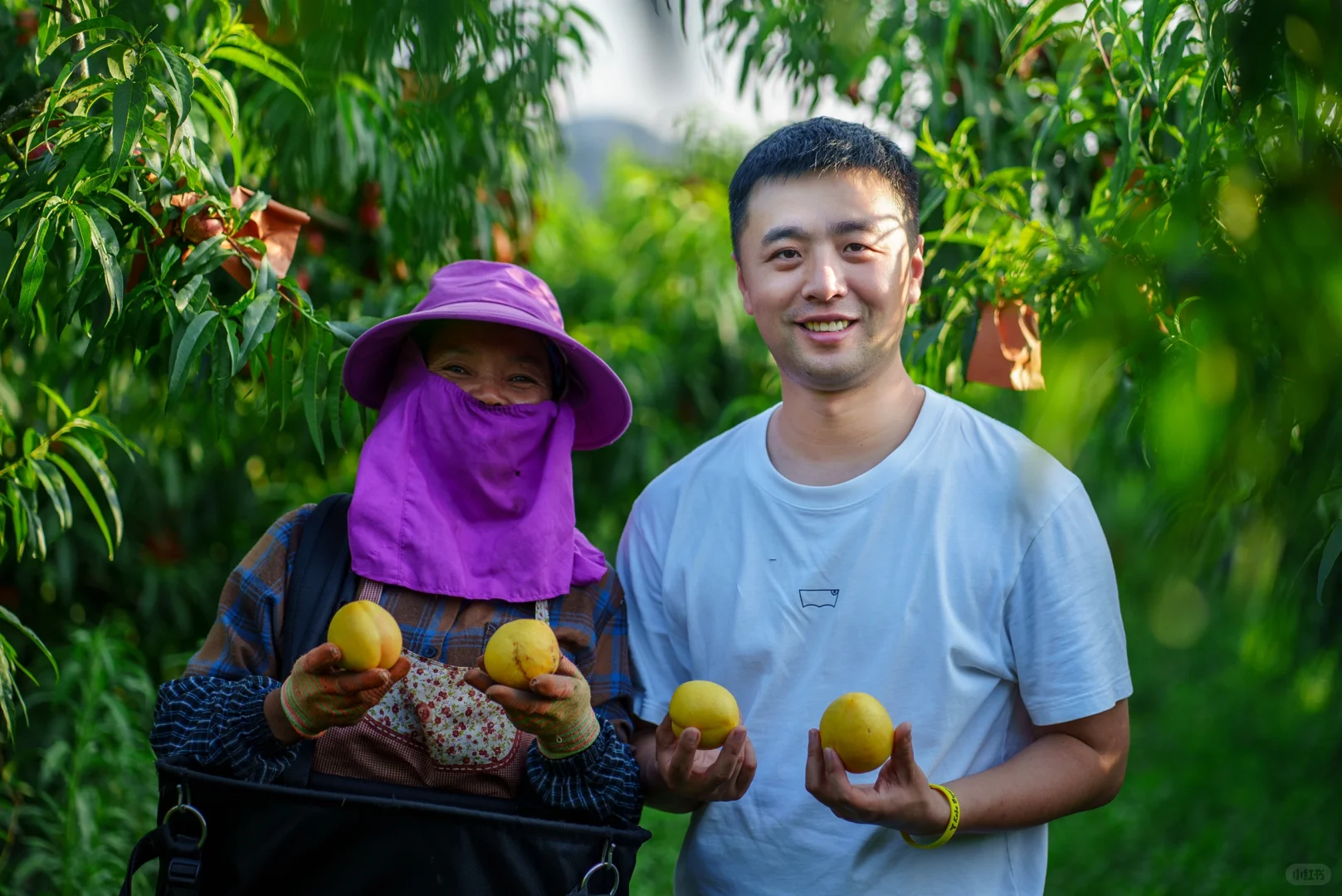 我是老王，7年职业水果人，有些感概…