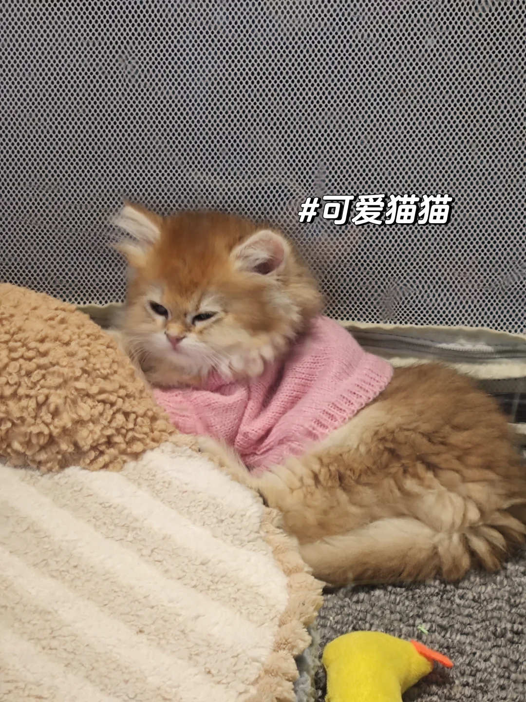 这些试剂有毒!但别怕,防护到位就OK!