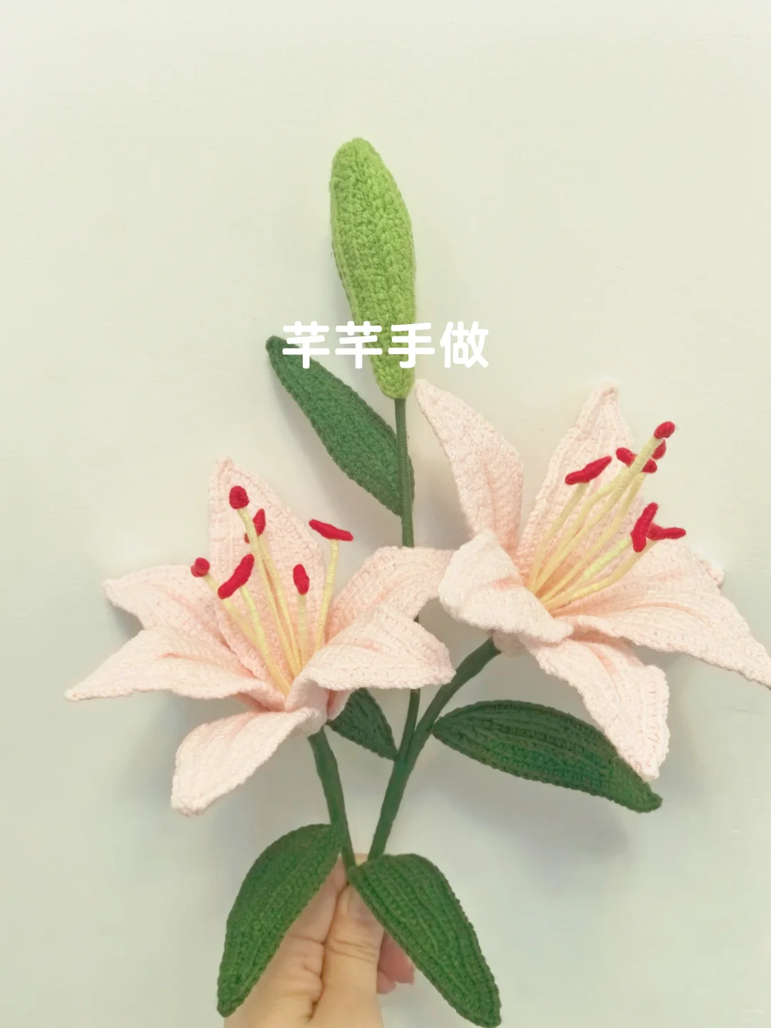 百合花，萌四线才?