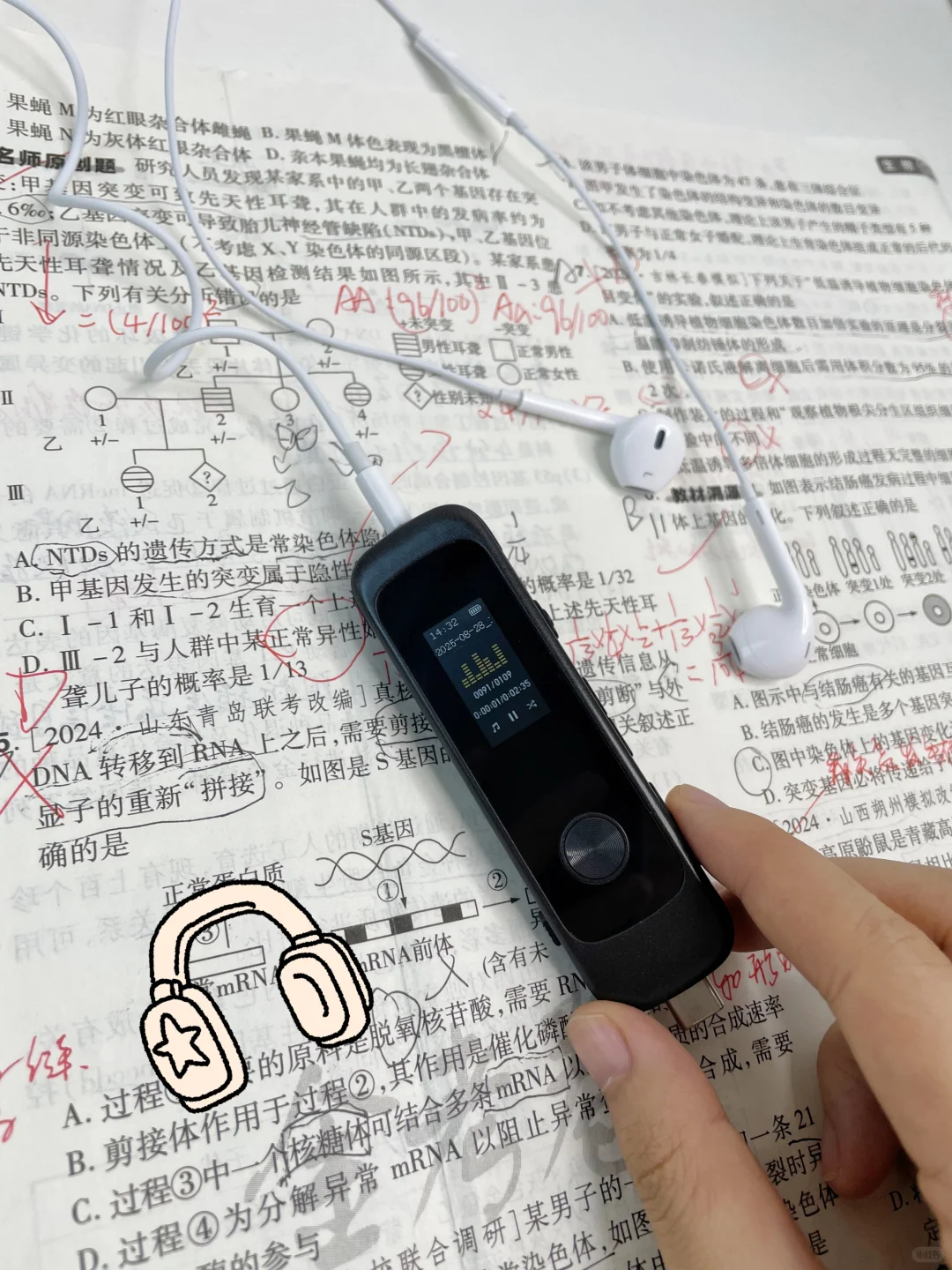 谁懂啊，也是掌握新型学习法了