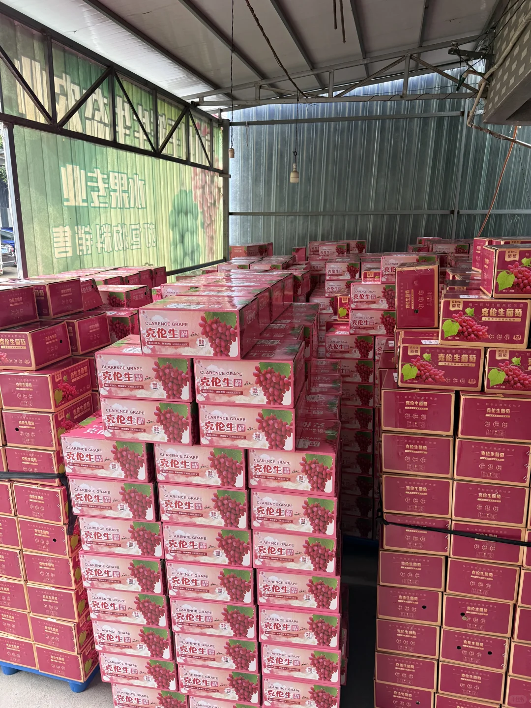 对不起了同行的朋友我家种的太多了