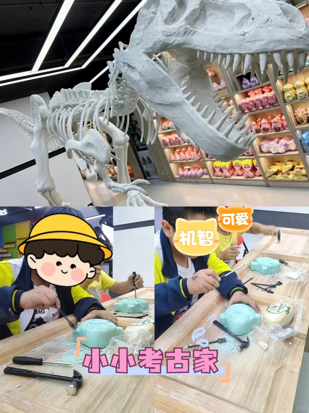 在文具店也可以体验到考古挖掘的乐趣