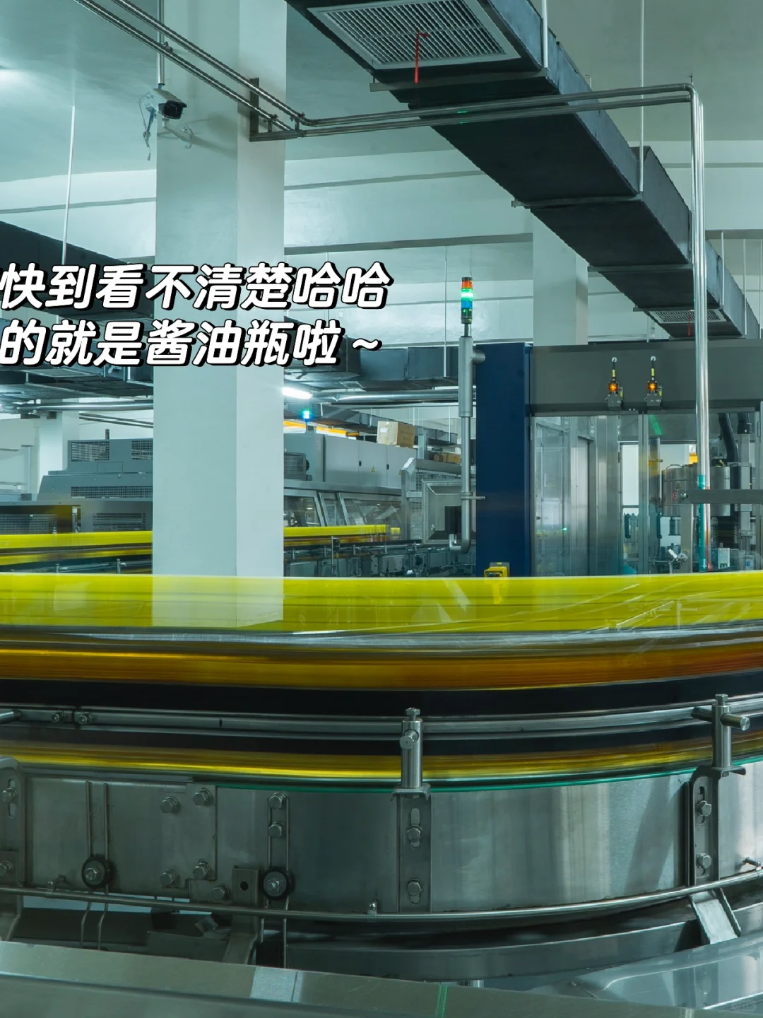 探厂plog ｜交底啦，酱油生产线都给你们看了