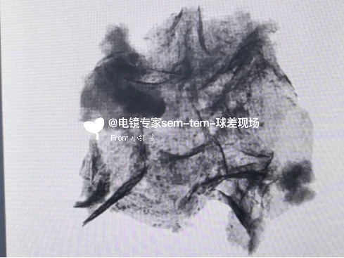 实验室买透射电镜 Talos F200X的第291天