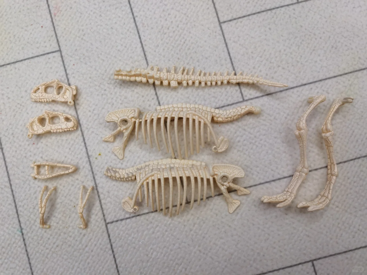 网红恐龙考古玩具买不买？请看这里！