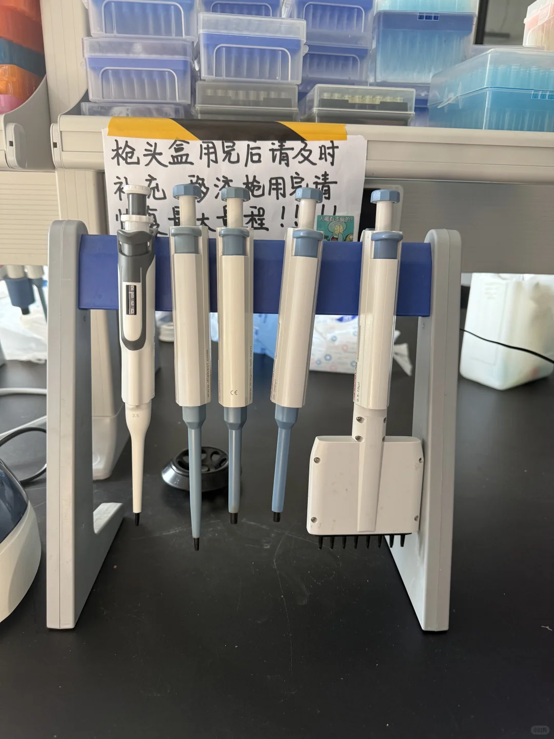 大龙HiPette彩色移液枪 | 精准上样不手抖