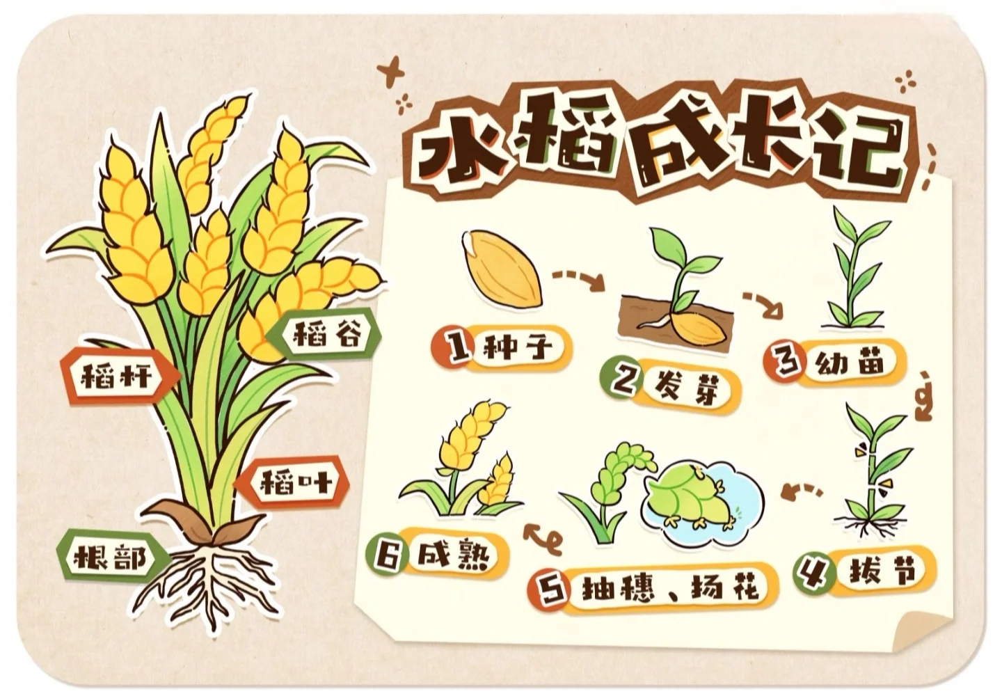 幼儿园秋天主题环创,? 打印,太美啦?