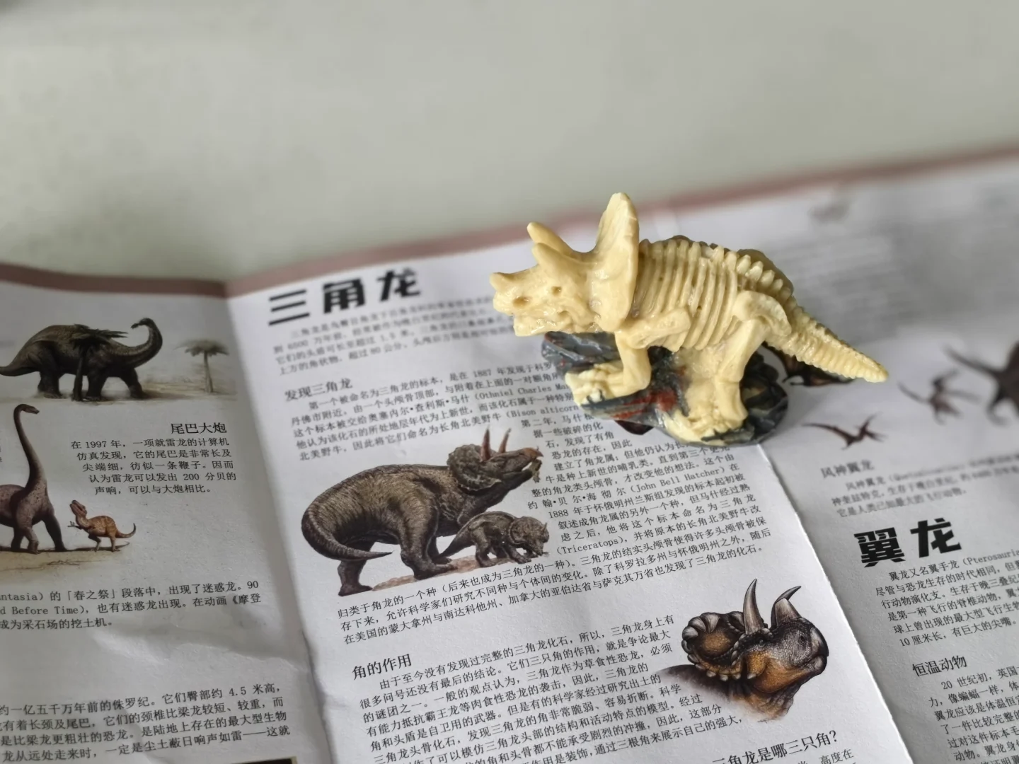 2岁宝宝太调皮？总喜欢敲敲打打？