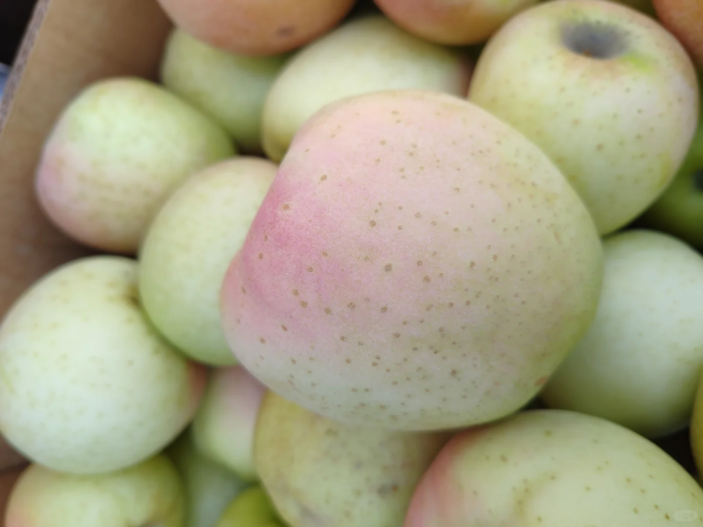 ?“大丰收”来啦！快乐装满一箩筐?