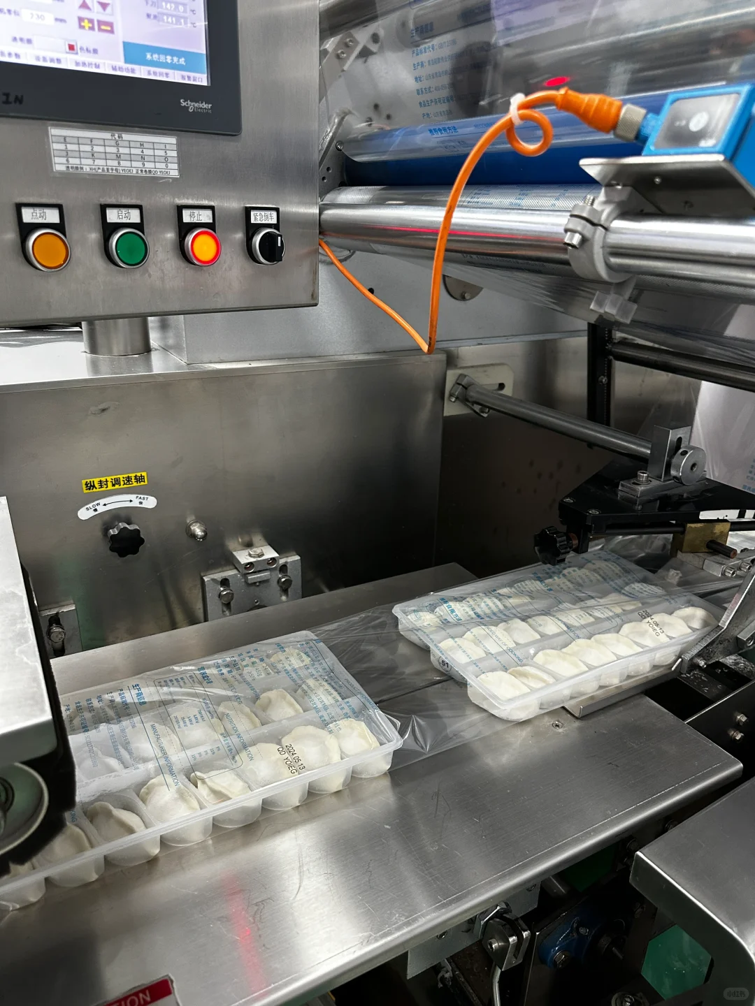 探秘速冻饺子工厂