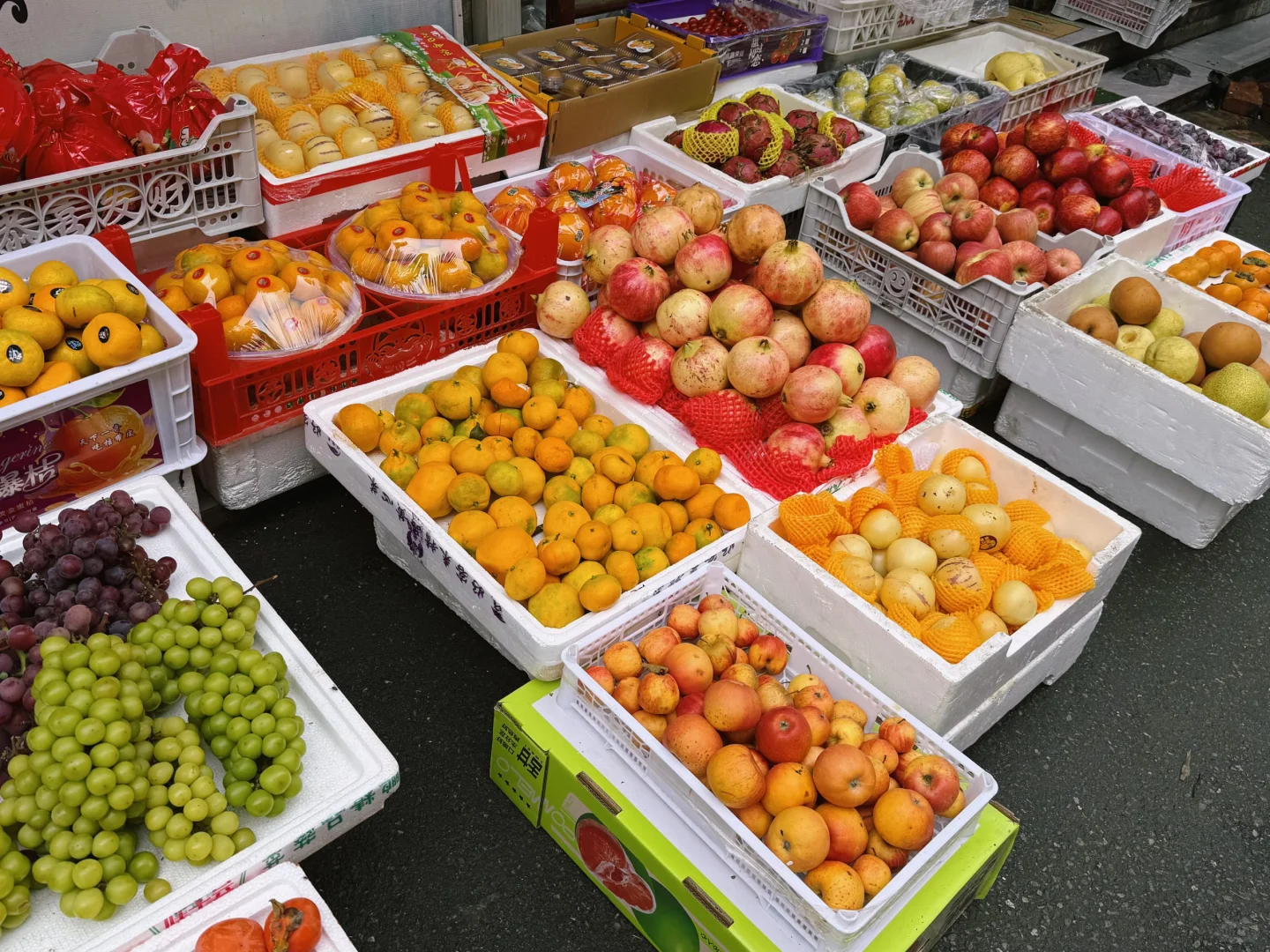 秋天果实累累的生命力！