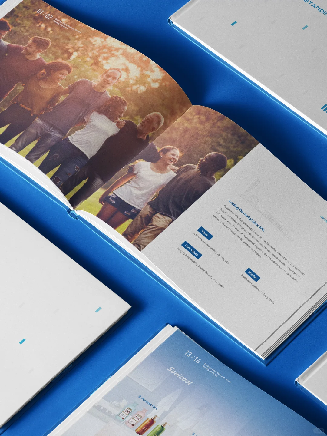 立白进军海外市场画册设计,设计与国际接轨