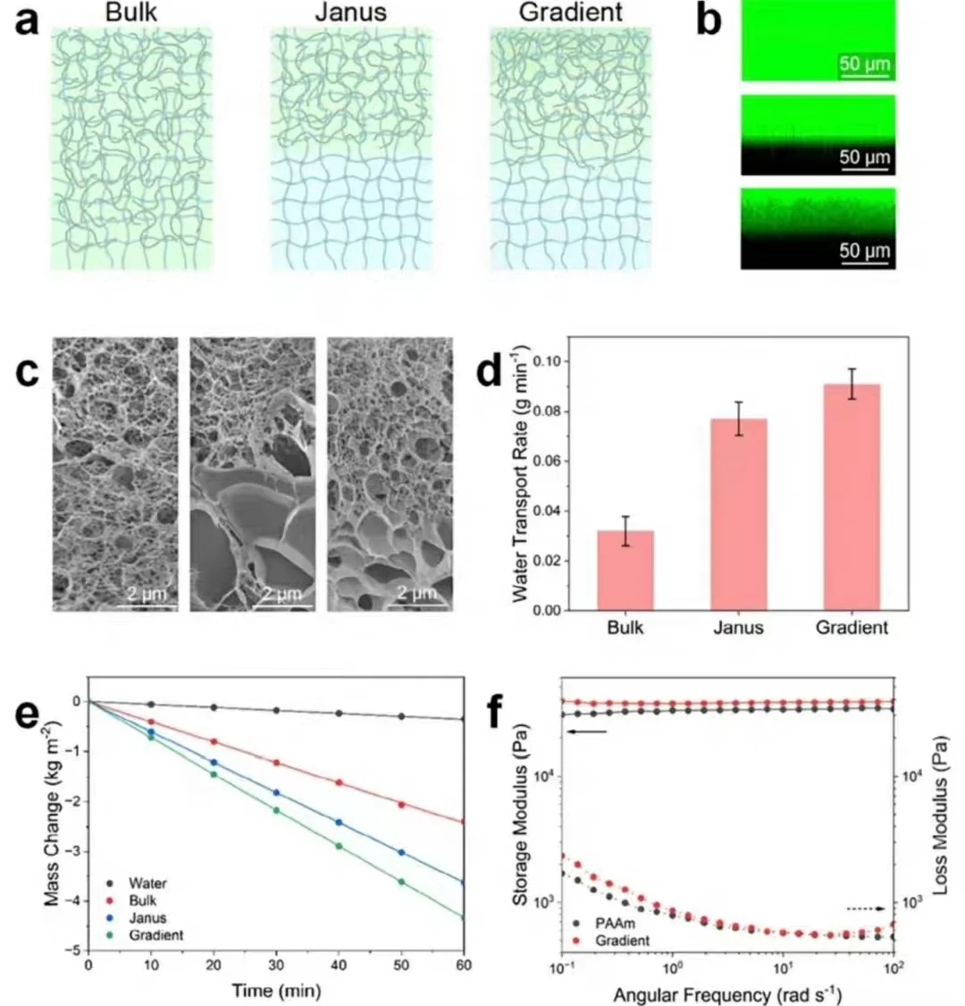 水凝胶方案设计与合成表征