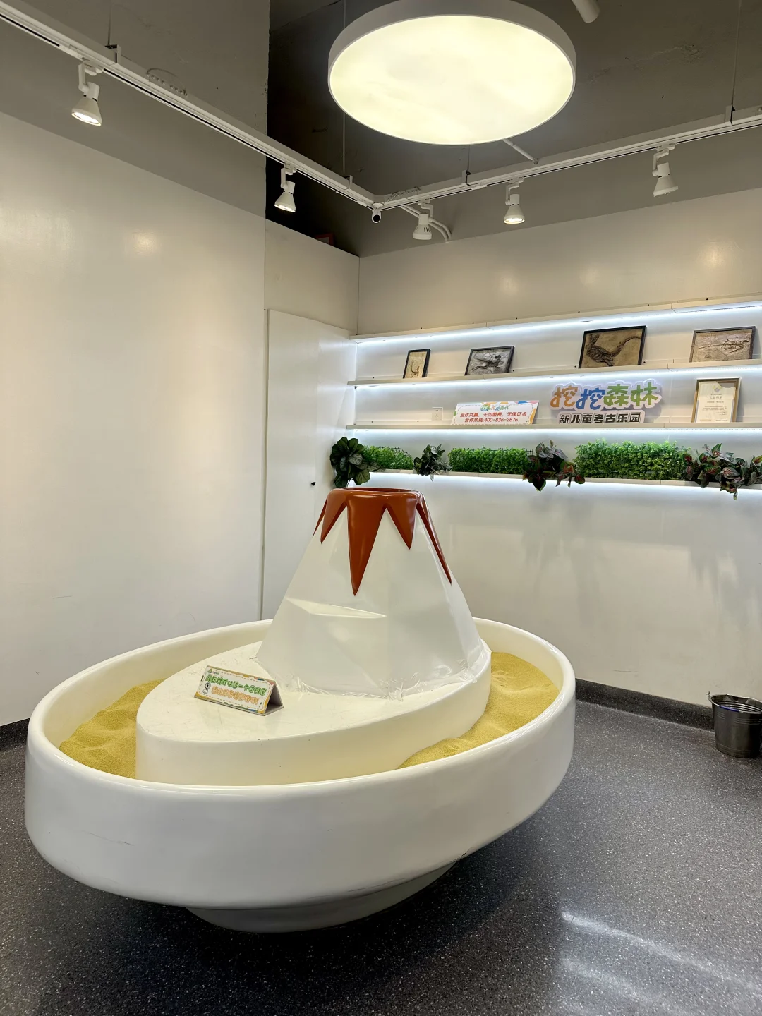 挖挖森林➡️ #专注力培养TOP1