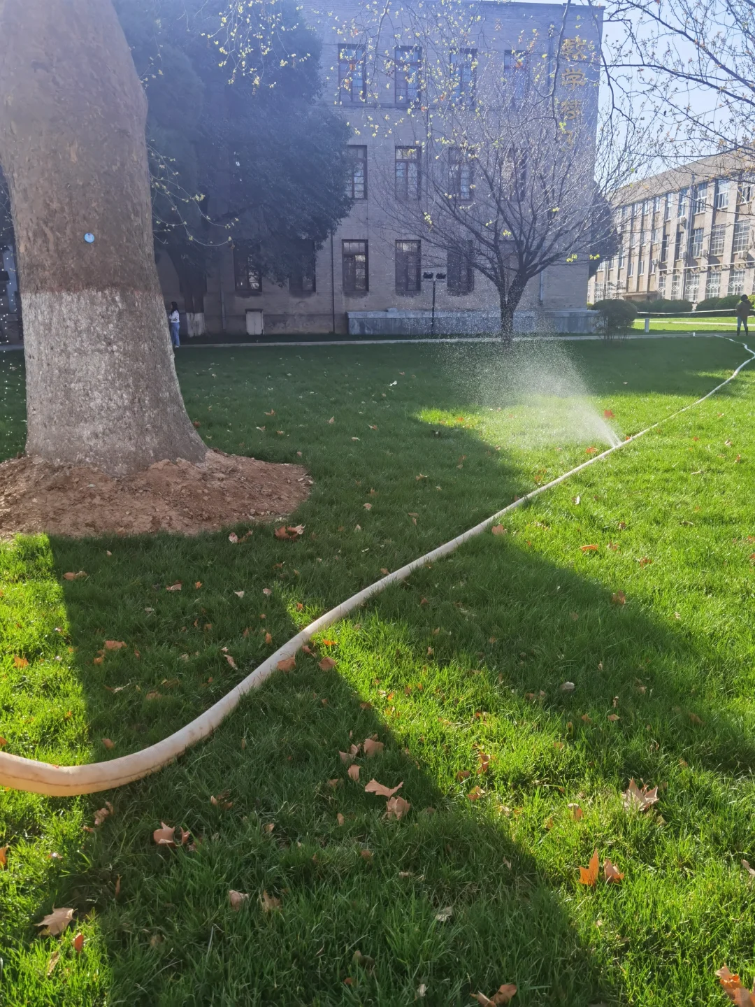 山东泰开变压器待遇如何