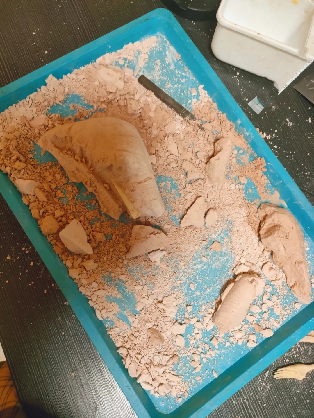 恐龙化石玩具?种草? or 拔草??