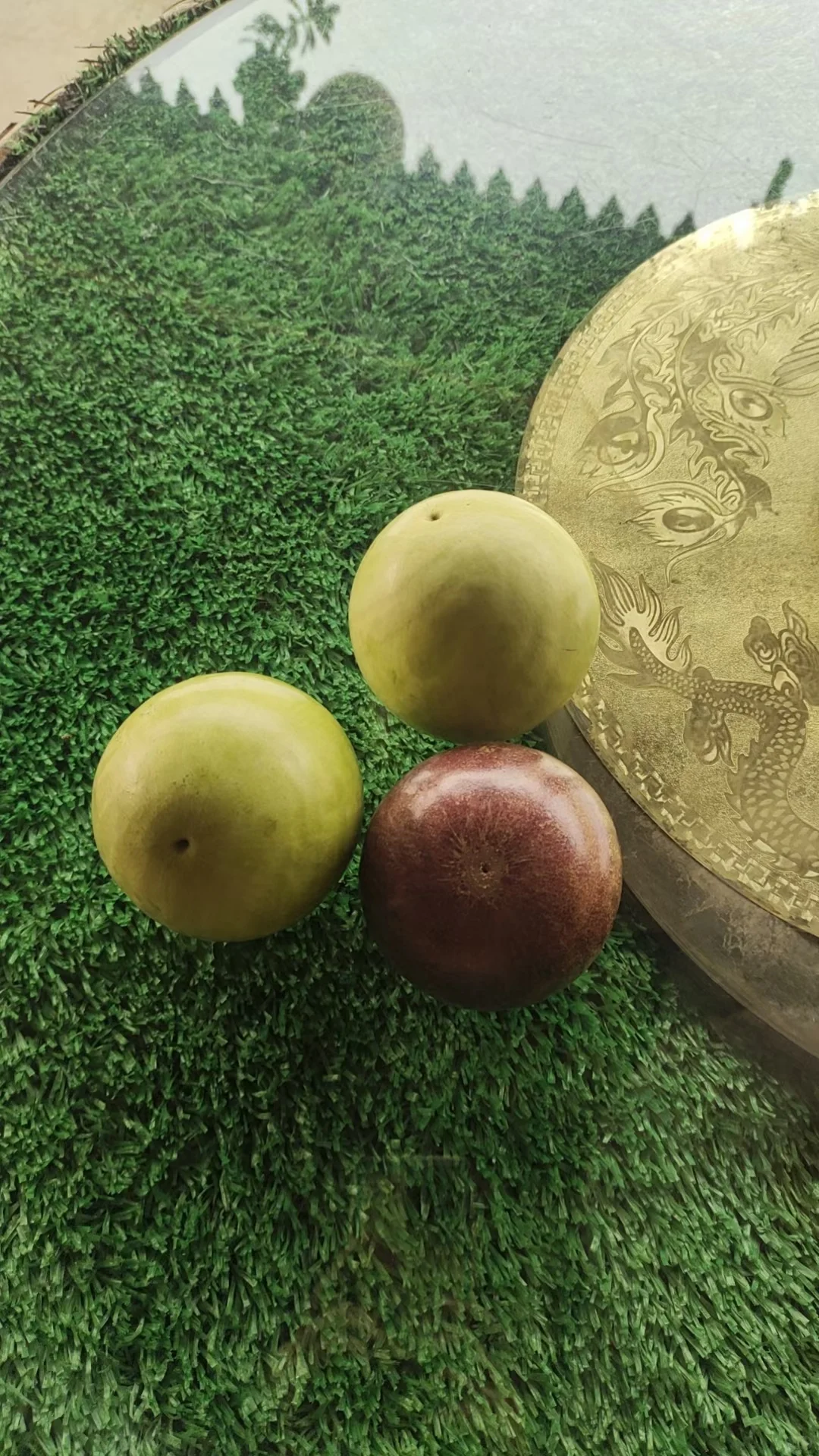 知道水果最多的童鞋送神秘奖品一份～