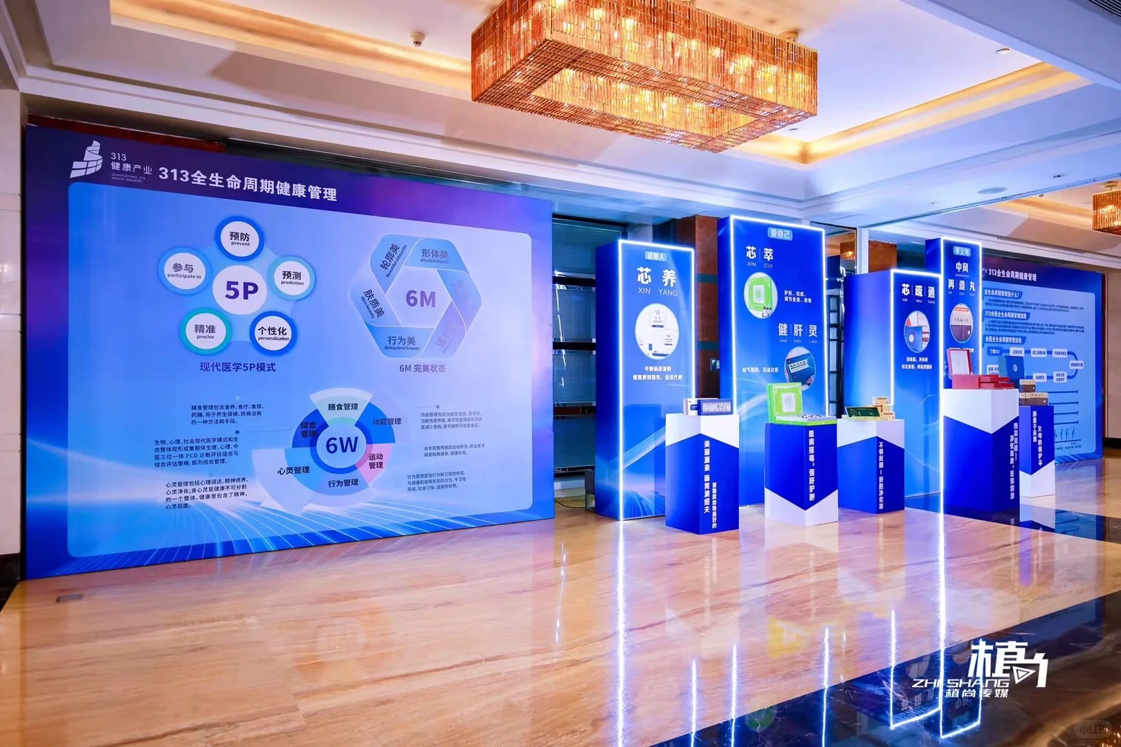 313全程全生命周期管理医学交流