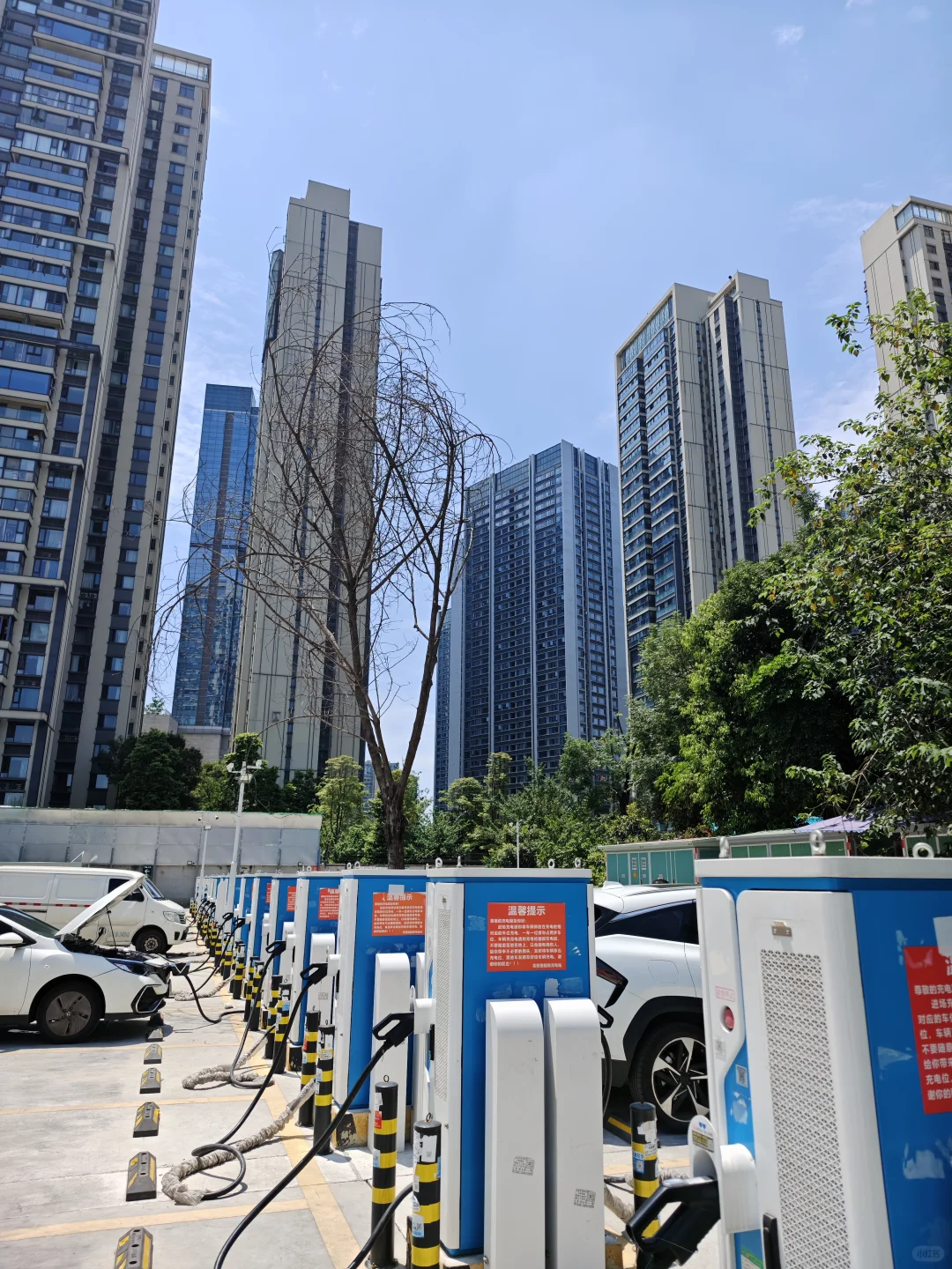 投资十台充电桩，月入5万+