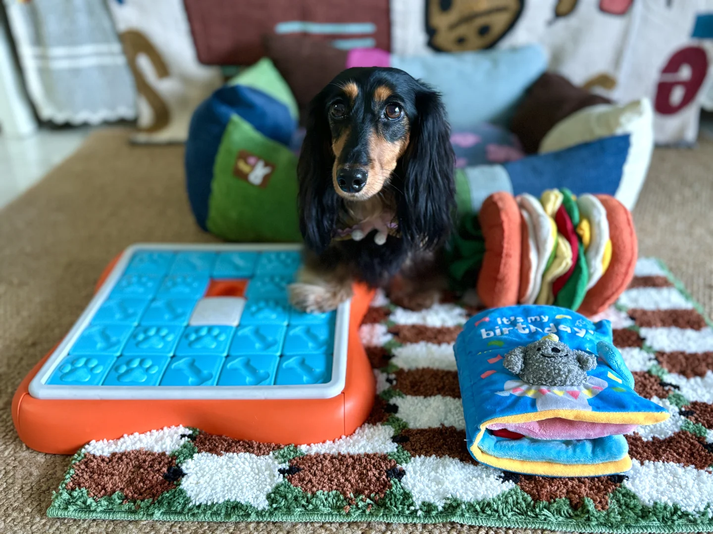 ?欢迎来到我的玩具城?part3