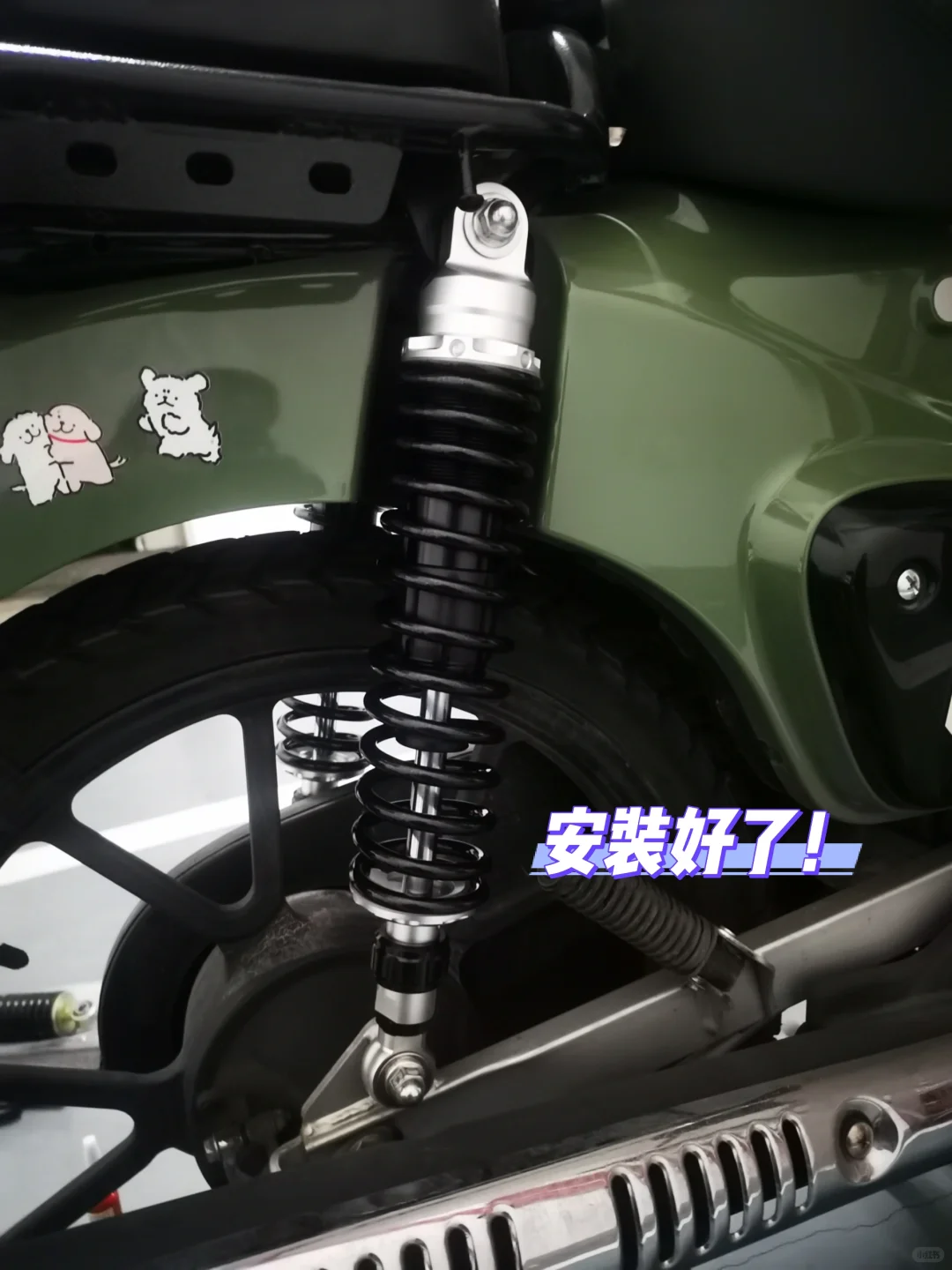 给幼兽换LC RACING家的前后减震