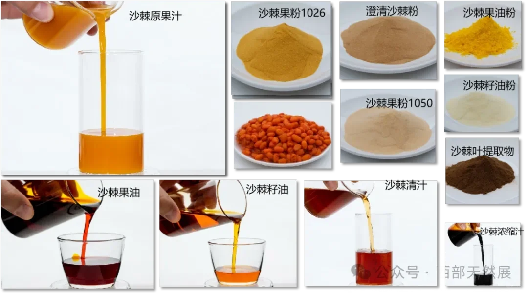 西部天然展参展商:宝得瑞(河北)健康产业