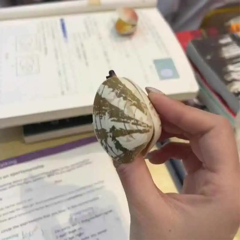 稀奇古怪玩具大集合，送礼就选它！