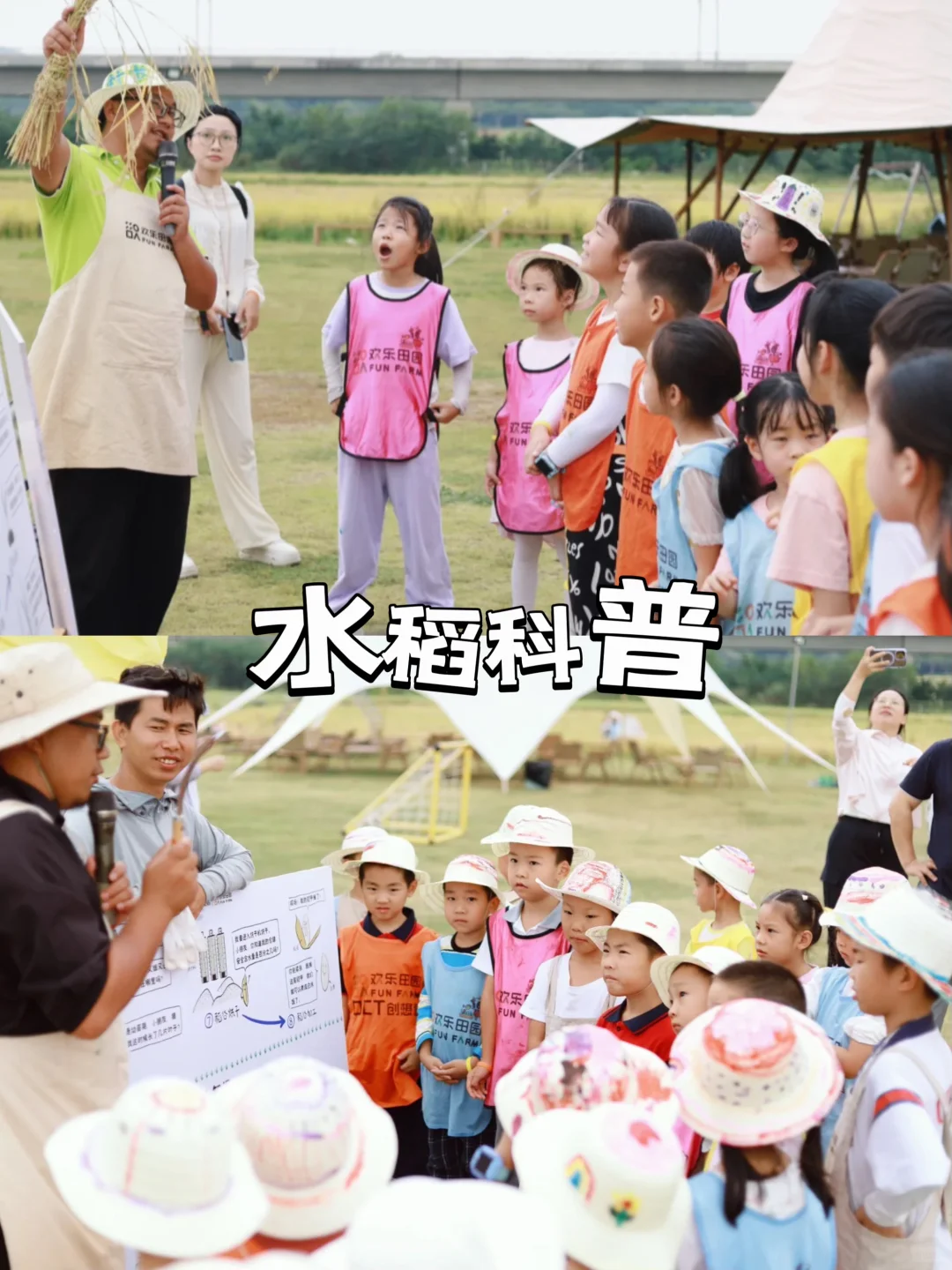 深圳团建丨稻田研学一日游,解锁秋天的童话