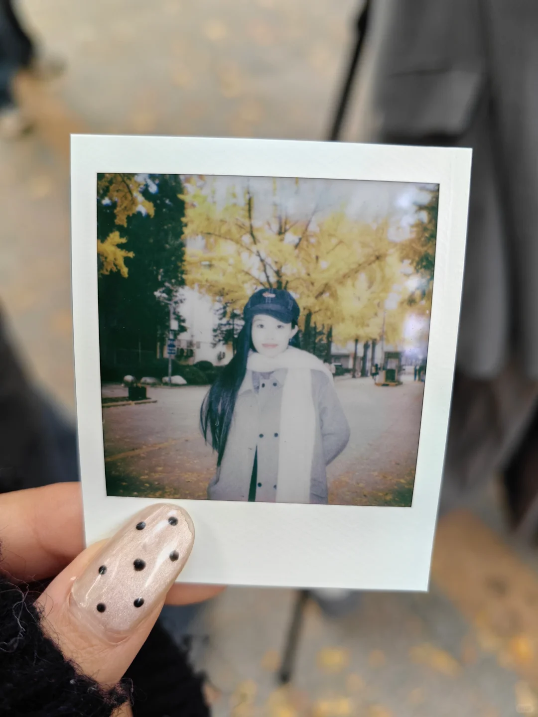 北林大三｜宝利来和银杏大道的适配度