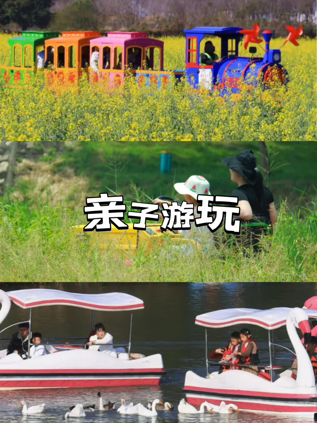 深圳团建丨稻田研学一日游,解锁秋天的童话