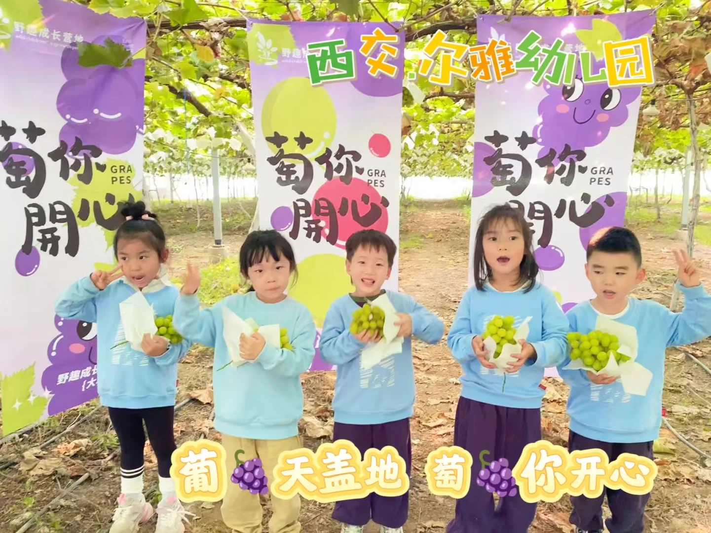 ?稻花香里说丰年、拾秋?