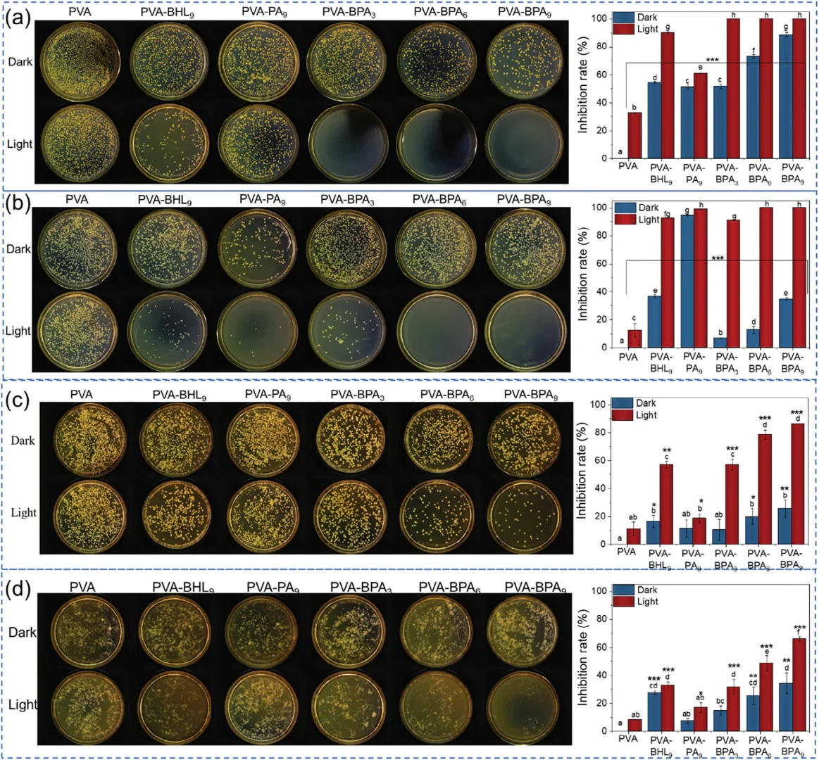 会发光的保鲜膜？抗菌黑科技✨