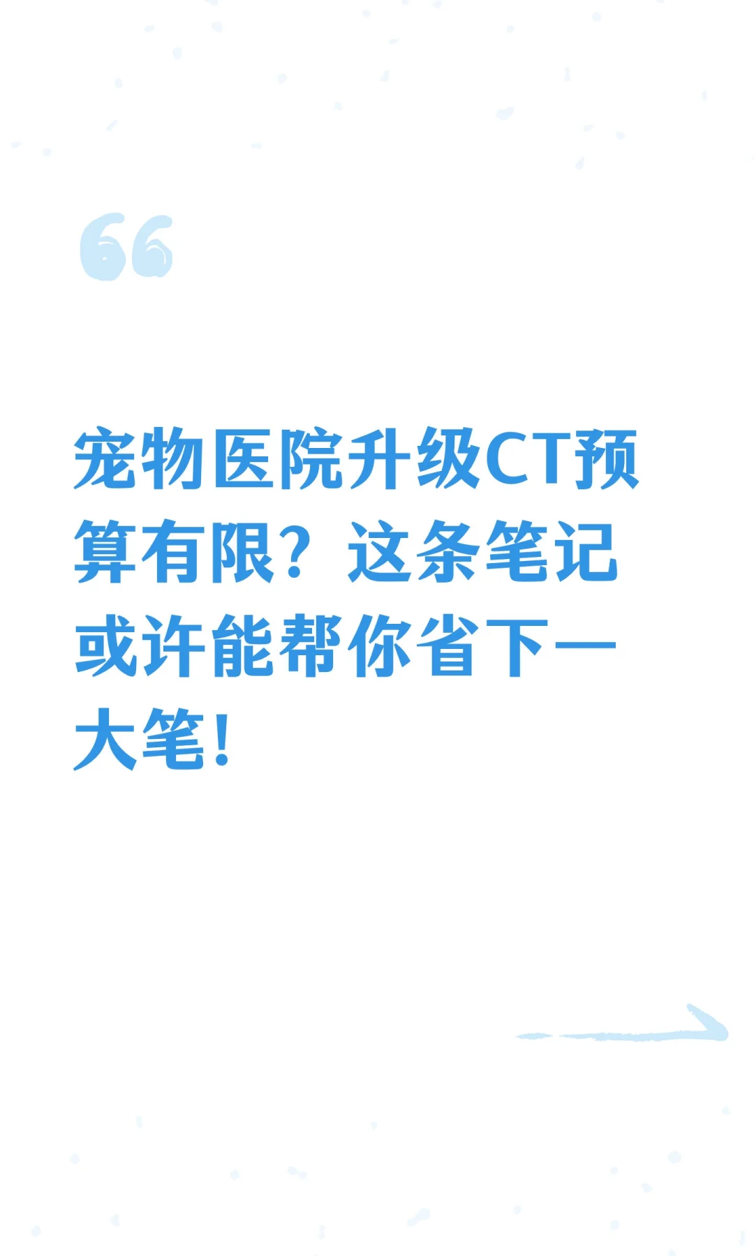 宠物医院升级CT预算有限？这条笔记或许能帮