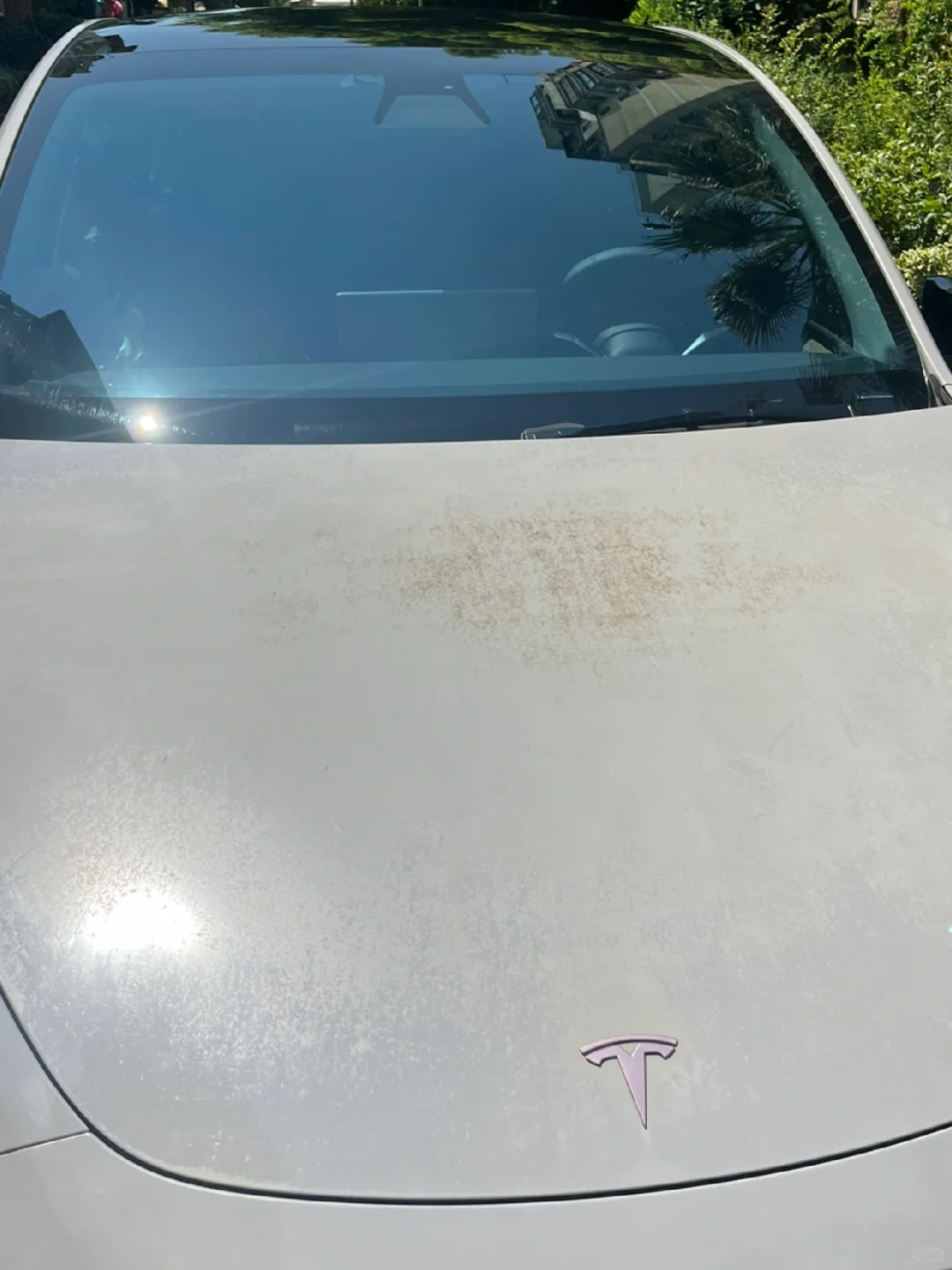 哑灰PVC改色膜2年氧化