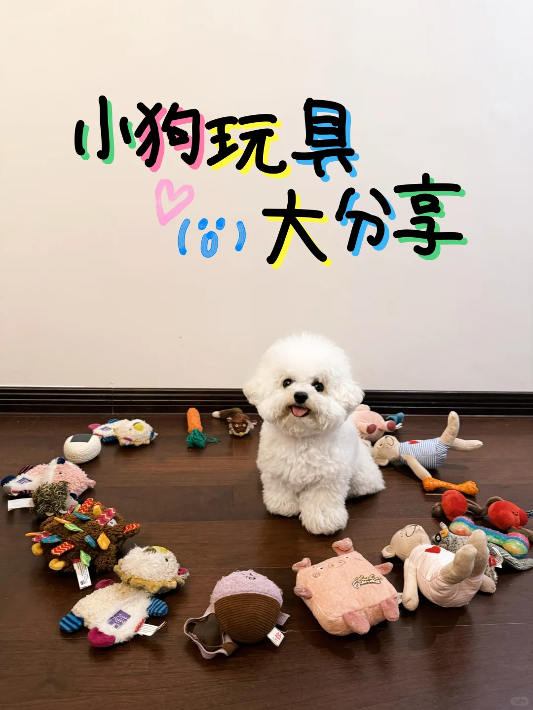 小狗玩具大测评！！！（小狗测评版）