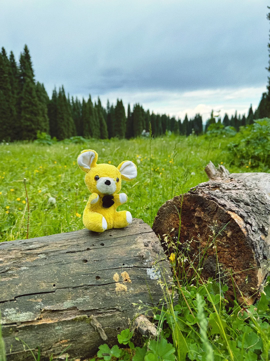 包浆玩偶，寻找失散多年的亲“鼠”！