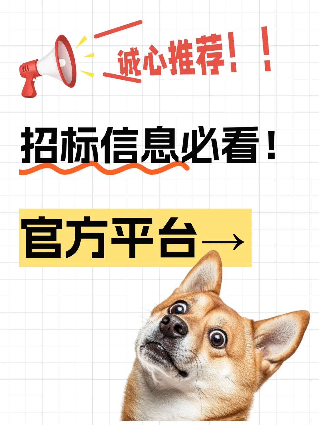 诚心推荐！企业找招标信息必看的官方平台