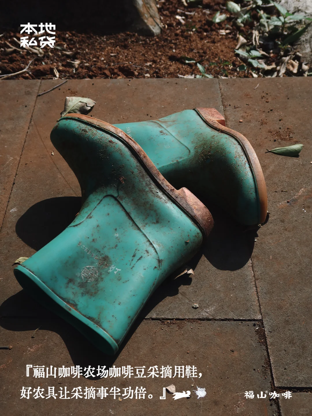 福山咖啡|红土地上的红色果实