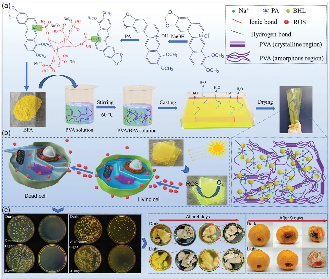 会发光的保鲜膜？抗菌黑科技✨