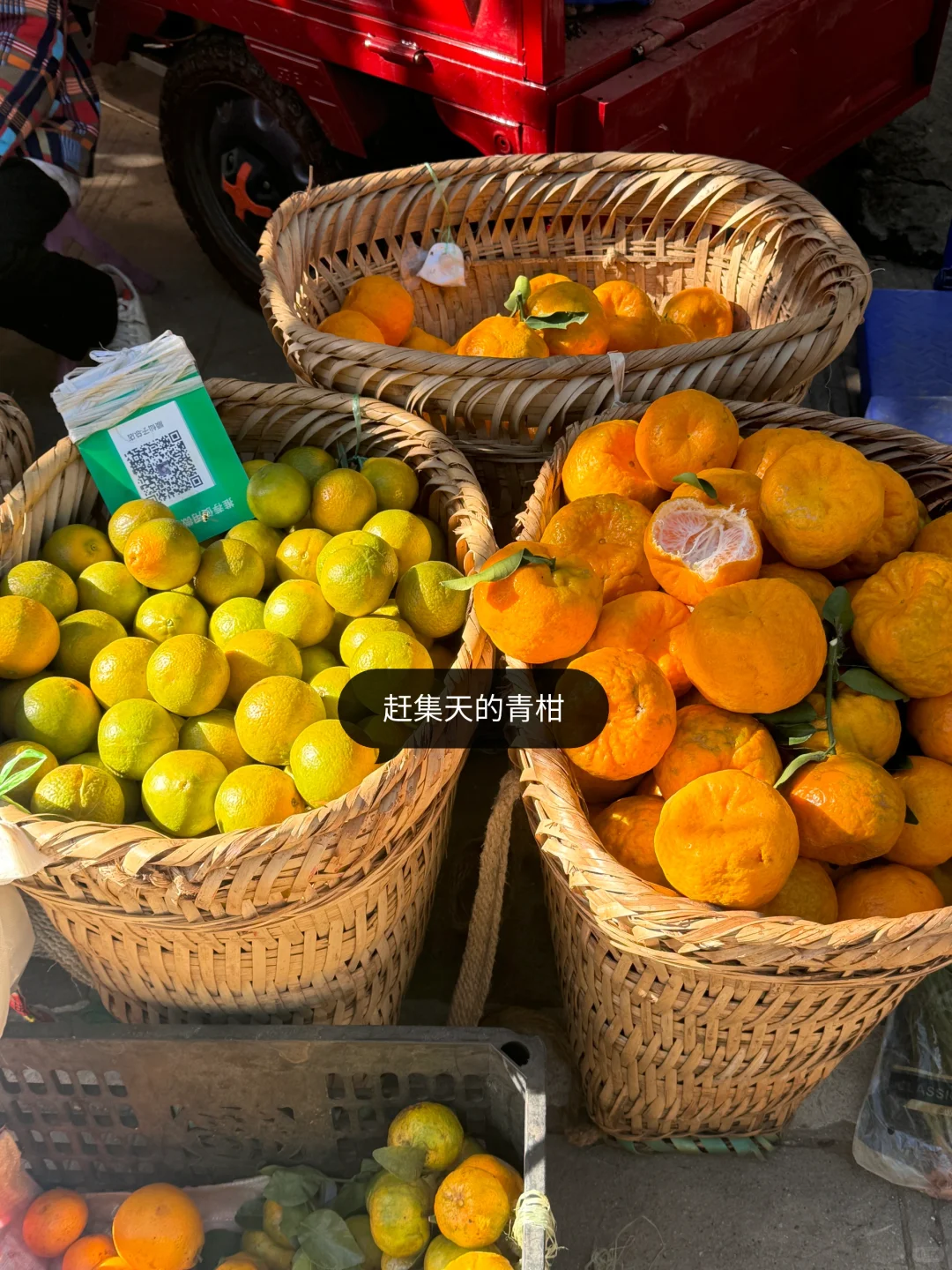 乡镇林业站工作日常｜巡山 赶集 闲适的一天