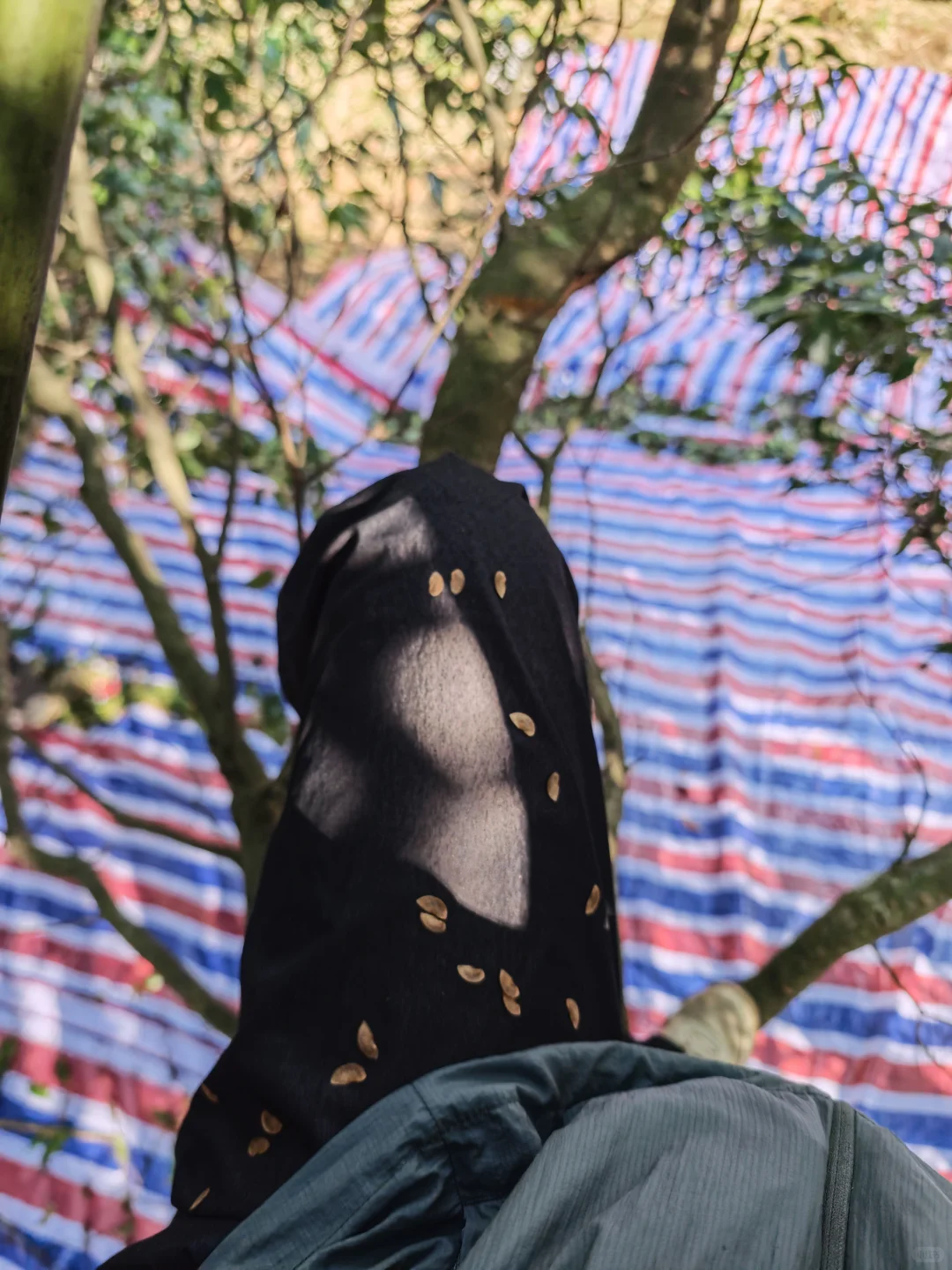 林业人燃尽了，只想吊死在树上