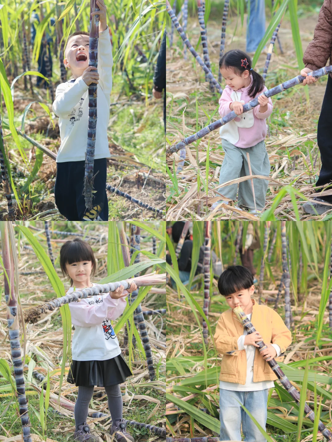 住房车|亲子共同体验向往的田园生活???