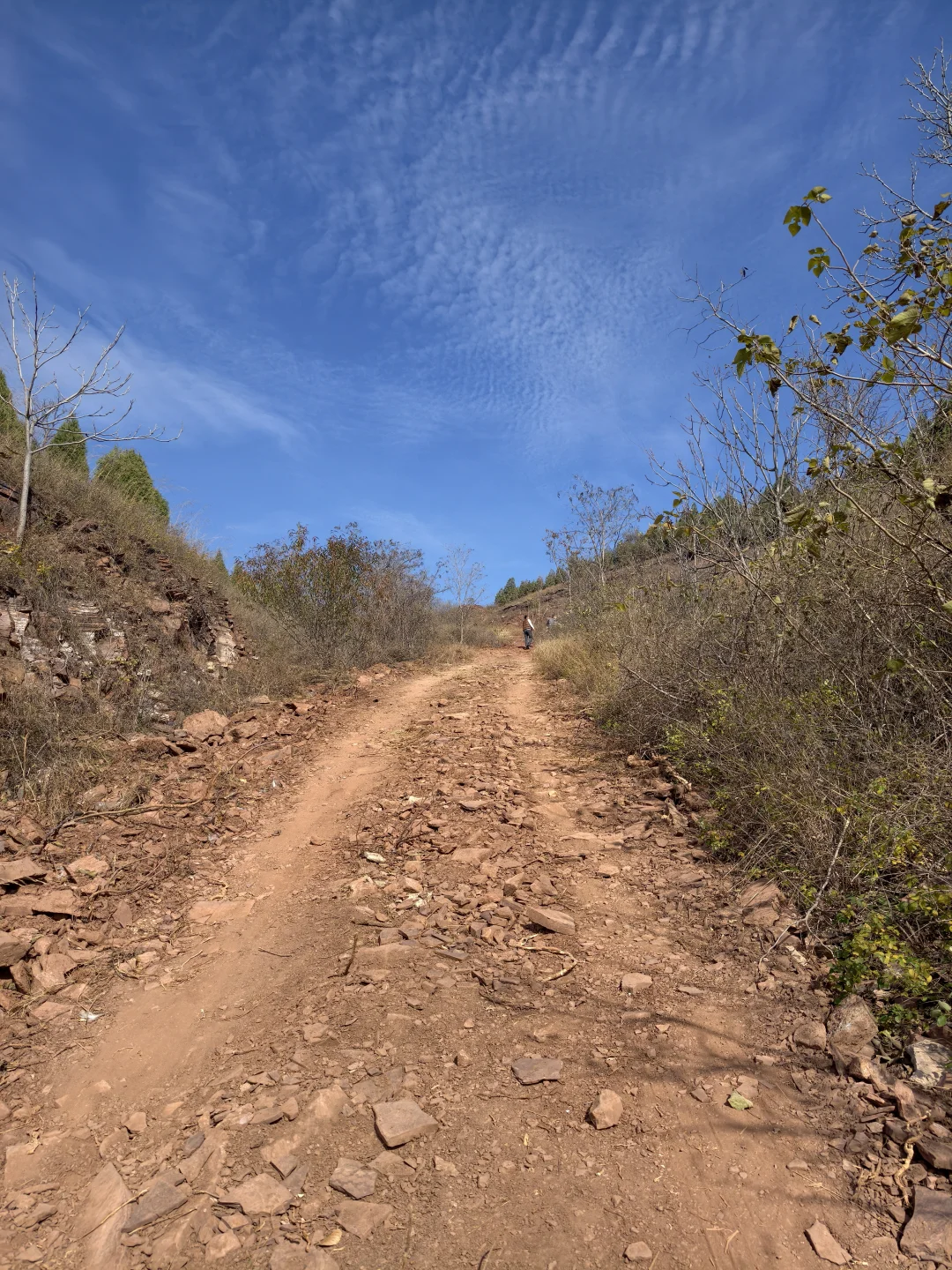 浅浅分享林业工作者的工作日常